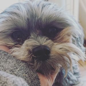 Meet your Posher, Taylor